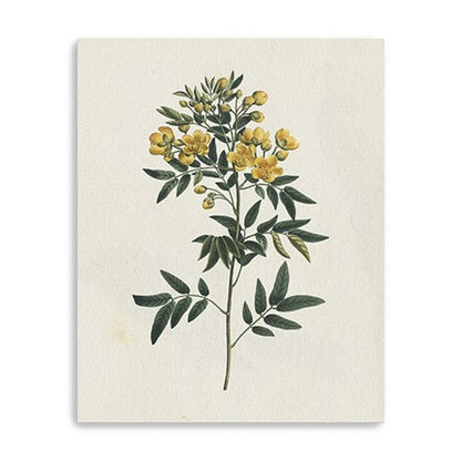 Singular Yellow Blossom Branch Unframed Print Wall Art HomeRoots