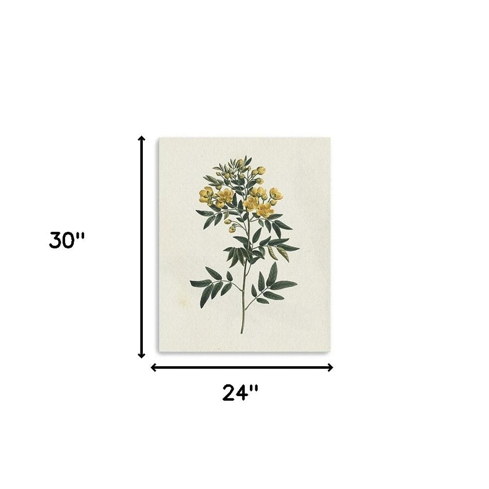 Singular Yellow Blossom Branch Unframed Print Wall Art — view 11