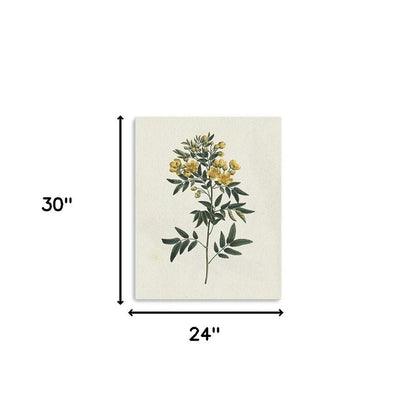 Singular Yellow Blossom Branch Unframed Print Wall Art HomeRoots
