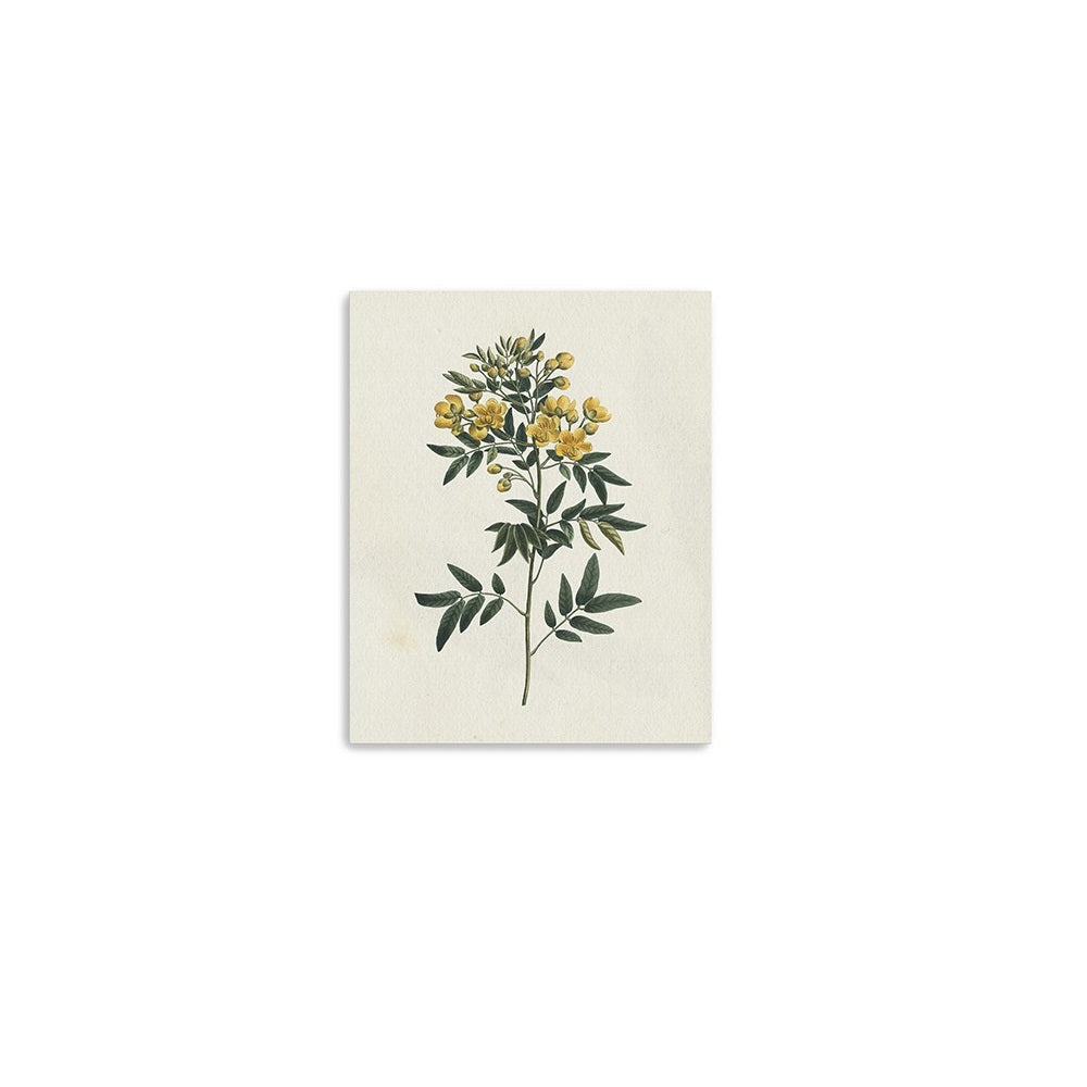 Singular Yellow Blossom Branch Unframed Print Wall Art