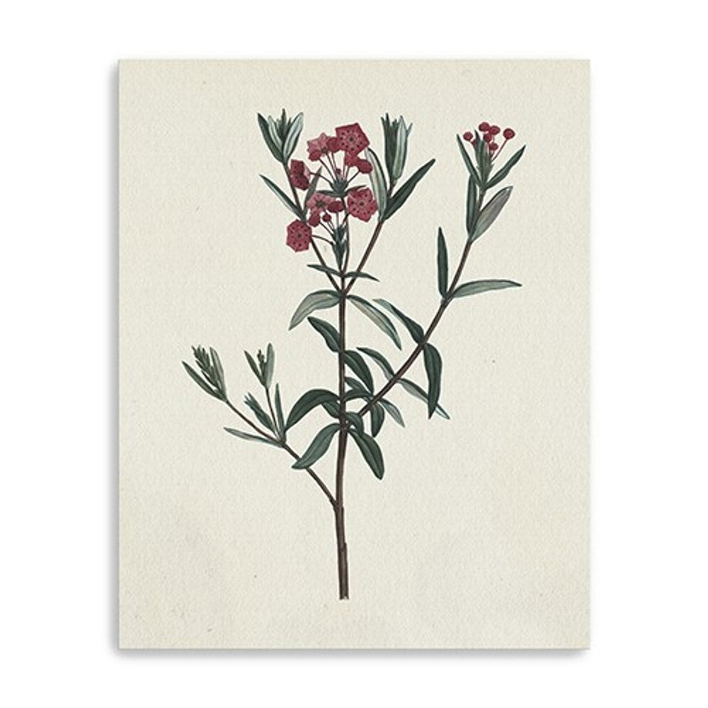 Singular Red Blossom Branch Unframed Print Wall Art — view 3