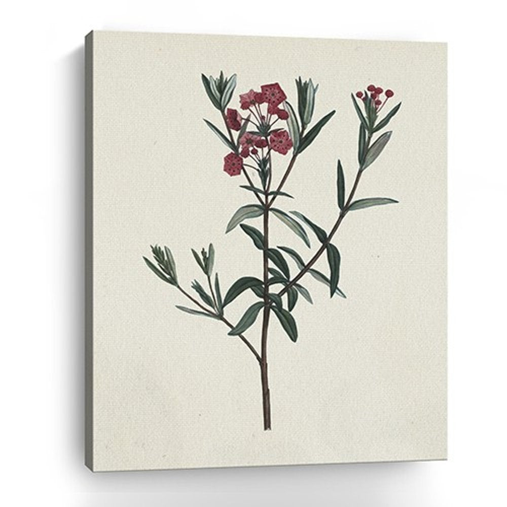 Singular Red Blossom Branch Unframed Print Wall Art HomeRoots