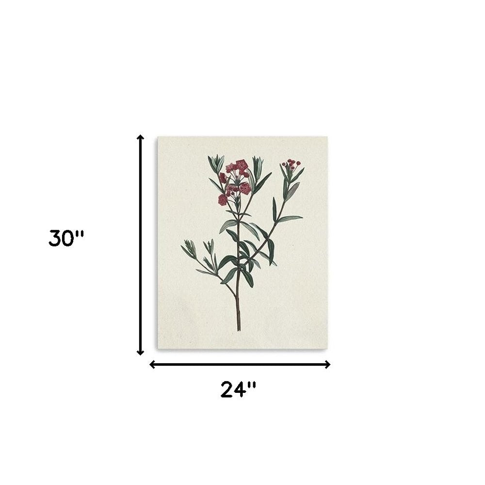 Singular Red Blossom Branch Unframed Print Wall Art HomeRoots