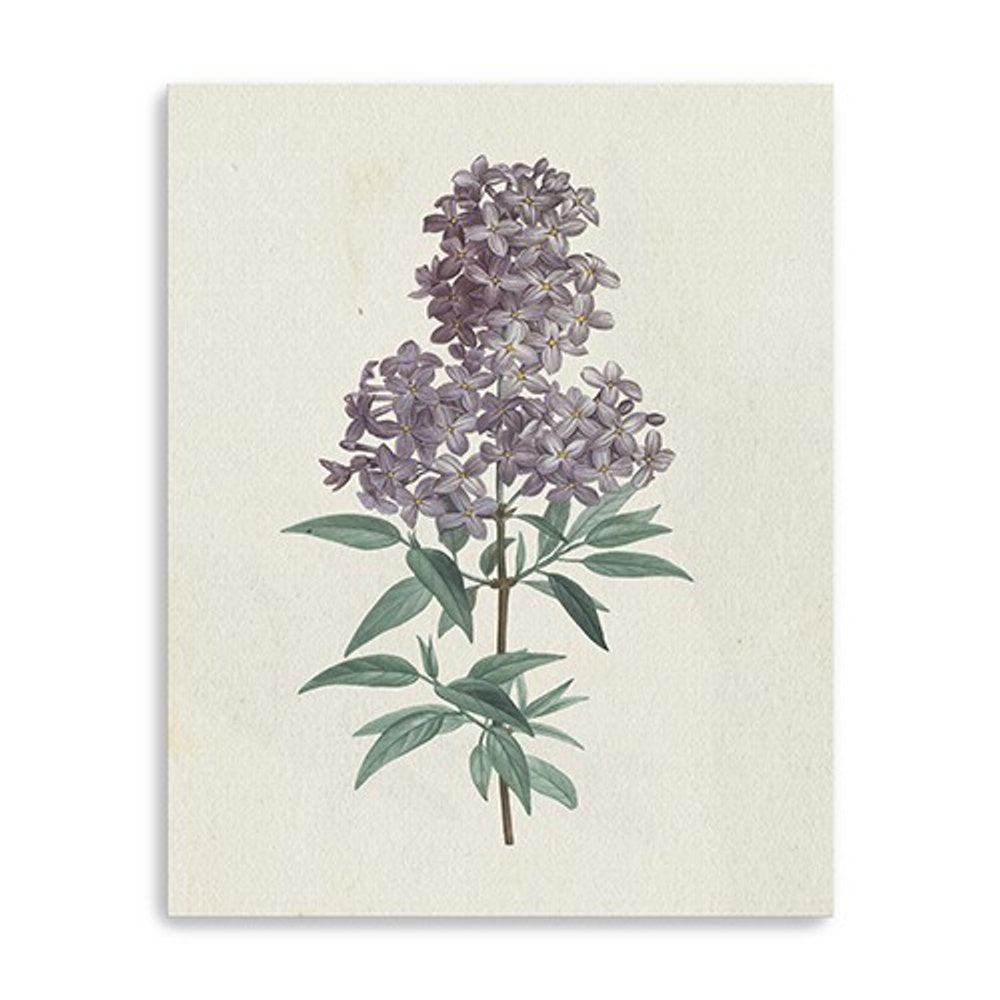 Singular Purple Blossom Branch Unframed Print Wall Art — view 6