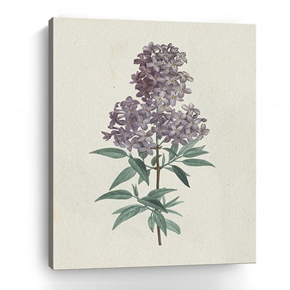 Singular Purple Blossom Branch Unframed Print Wall Art HomeRoots