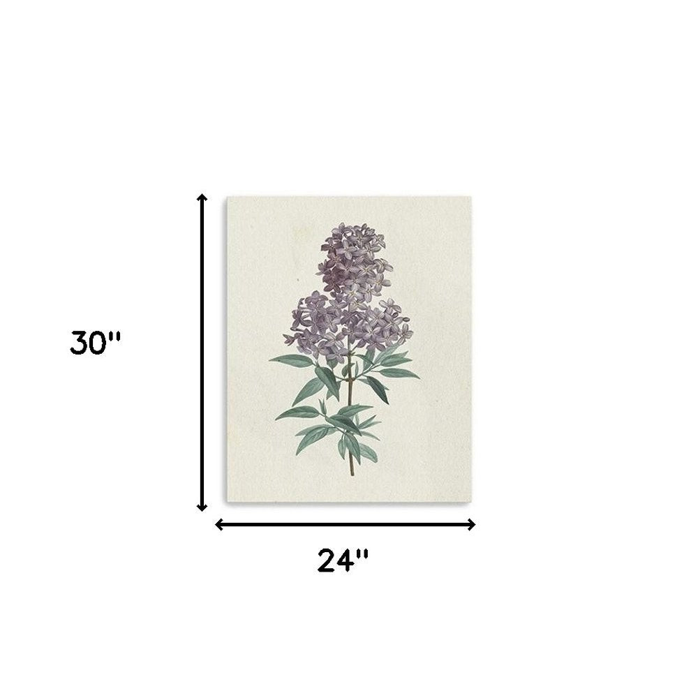 Singular Purple Blossom Branch Unframed Print Wall Art — view 9