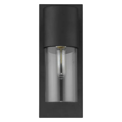 Contemporary Matte Black and Glass Wall Light HomeRoots