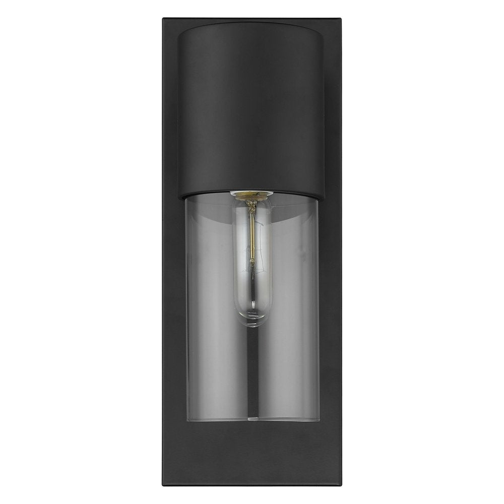 Contemporary Matte Black and Glass Wall Light HomeRoots