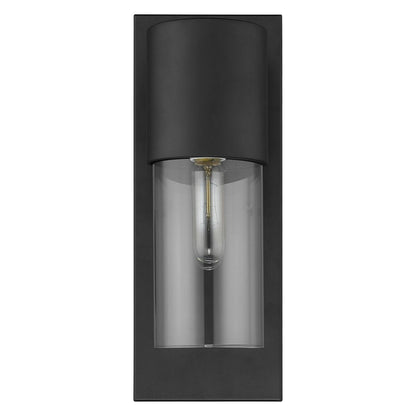 Contemporary Matte Black and Glass Wall Light HomeRoots
