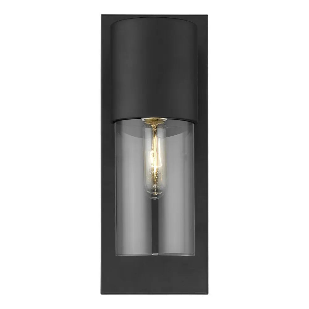 Contemporary Matte Black and Glass Wall Light HomeRoots