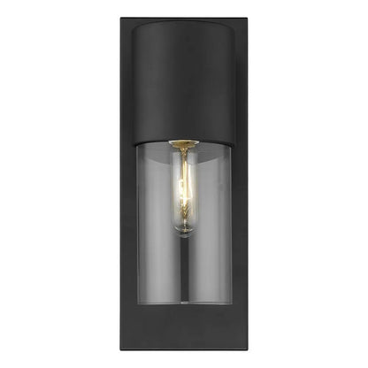 Contemporary Matte Black and Glass Wall Light HomeRoots