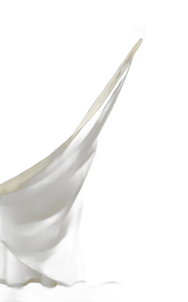 Ivory Sheer and Grid Shower Curtain and Liner Set HomeRoots