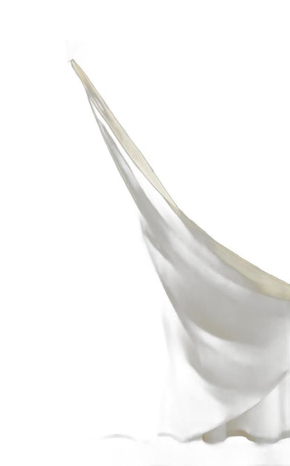 Ivory Sheer and Grid Shower Curtain and Liner Set HomeRoots