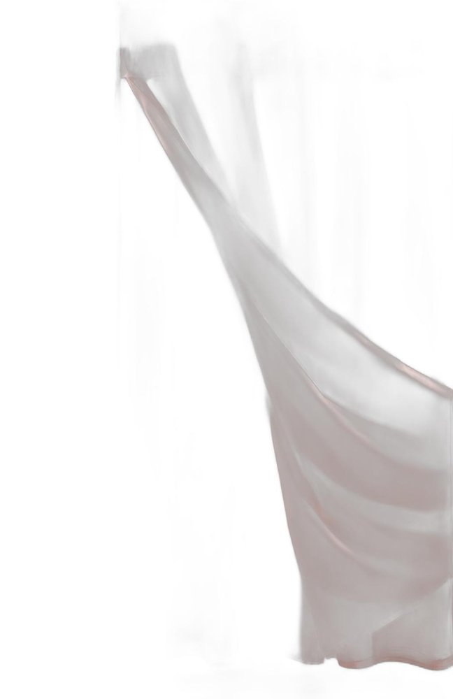 Blush Sheer and Grid Shower Curtain and Liner Set HomeRoots