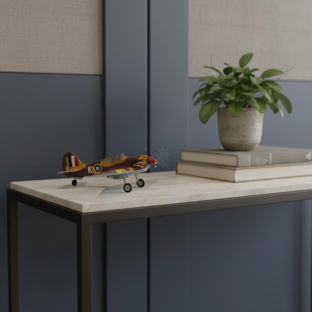 c1941 Curtiss Hawk 81A Large Sculpture HomeRoots