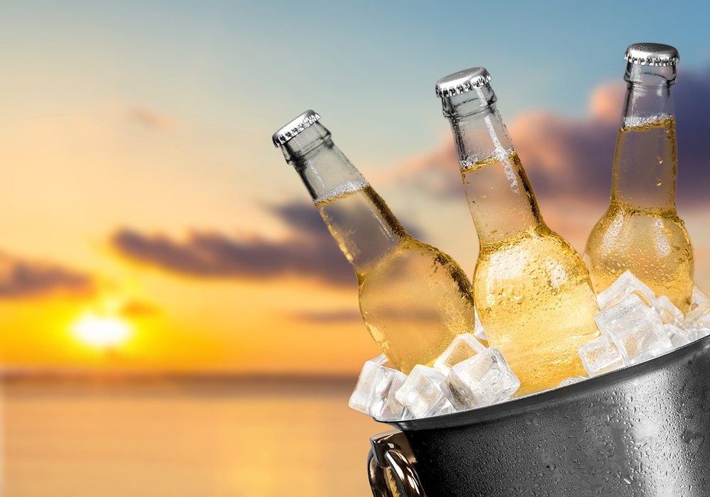 Grand Cru Classe Wine Cooler HomeRoots