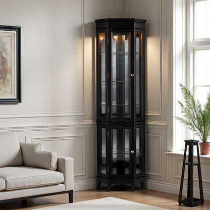 Elegant Black Lighted Curio Cabinet HomeRoots