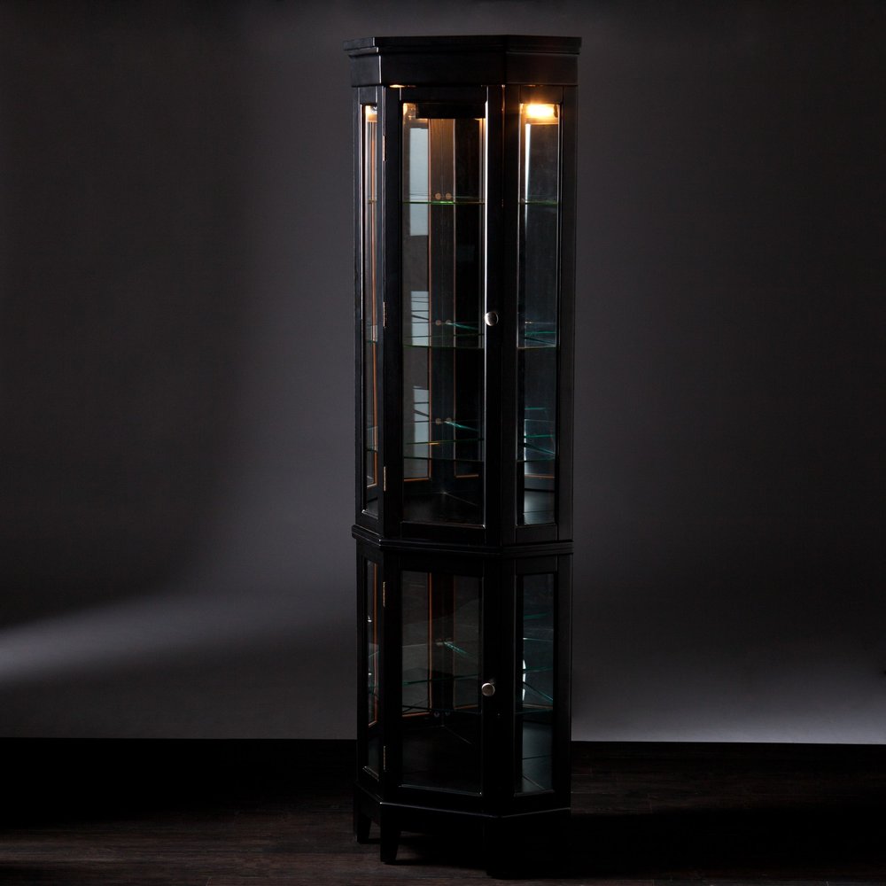 Elegant Black Lighted Curio Cabinet HomeRoots