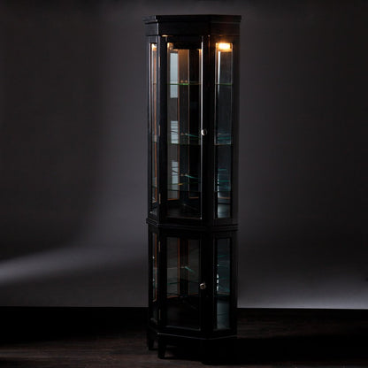 Elegant Black Lighted Curio Cabinet HomeRoots