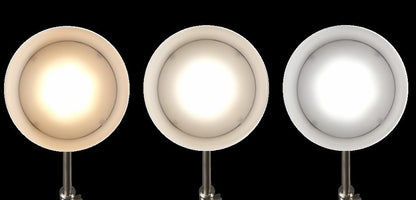 Brushed Silver LED Adjustable Desk Lamp HomeRoots