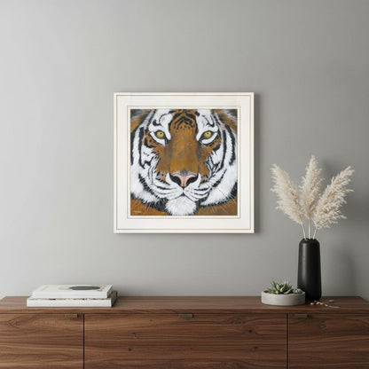Tiger Gaze 1 White Framed Print Wall Art