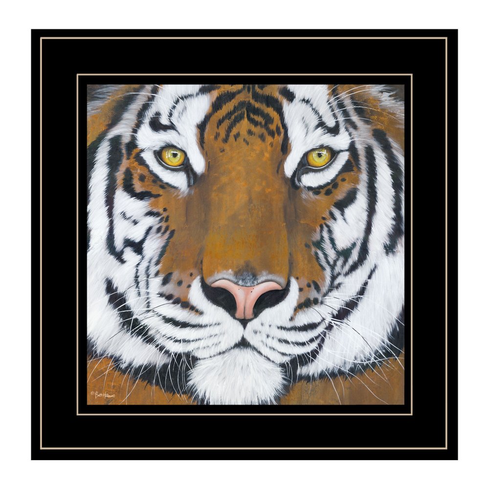 Tiger Gaze 2 Black Framed Print Wall Art — view 1