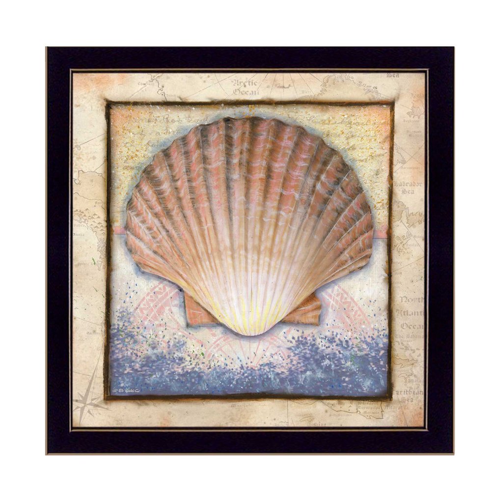 Shell Black Framed Print Wall Art — view 1