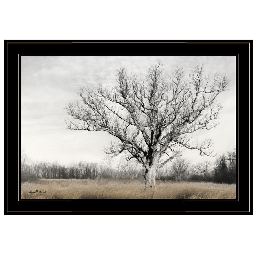 Earth and Sky 2 Black Framed Print Wall Art HomeRoots