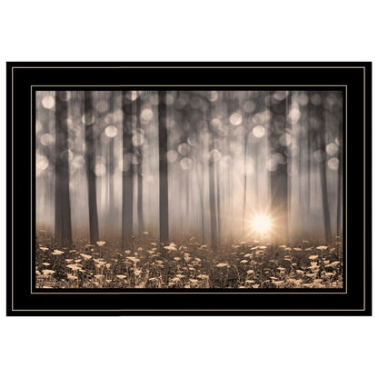 Enchanted Morning 2 Black Framed Print Wall Art HomeRoots