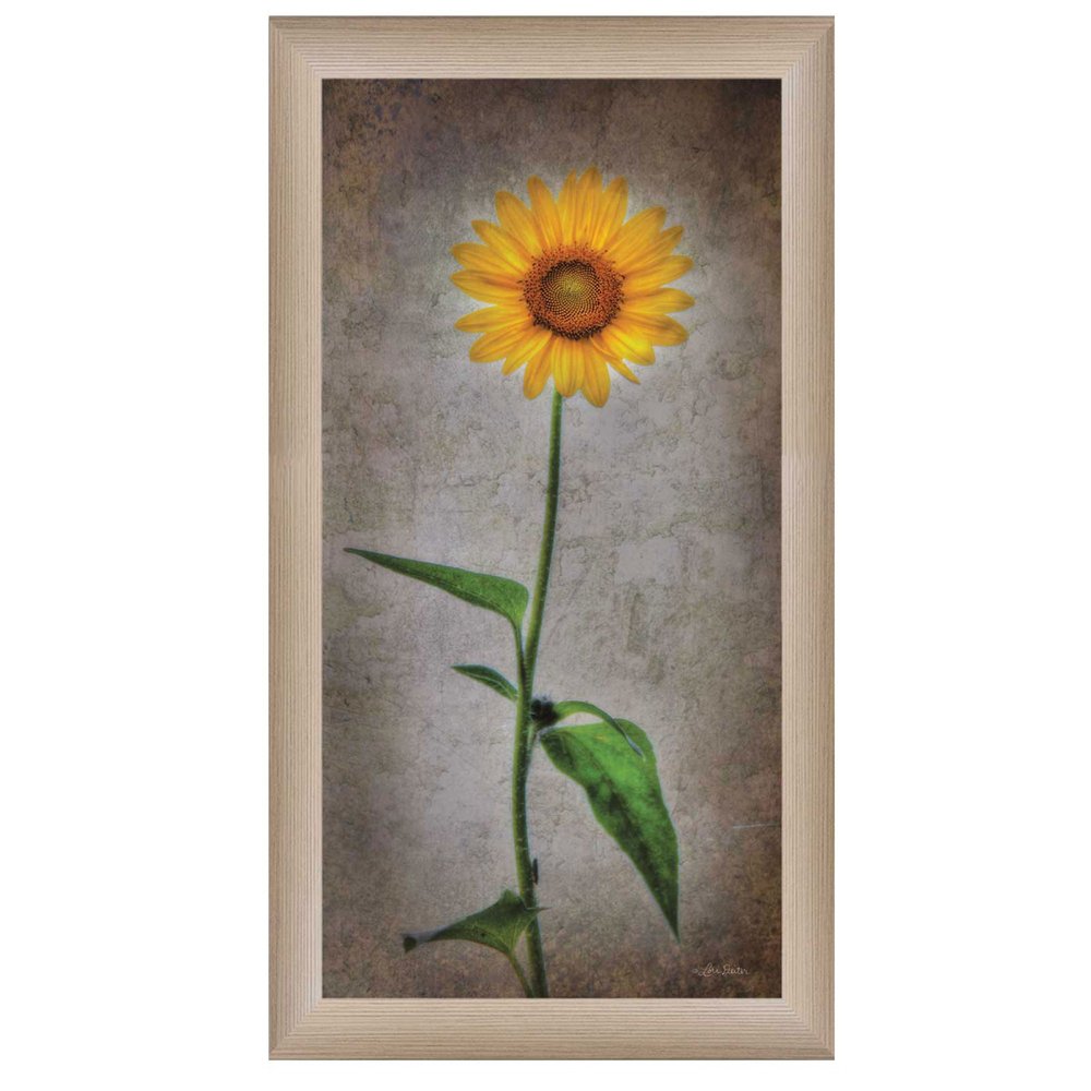 Sunflower I Brown Framed Print Wall Art HomeRoots