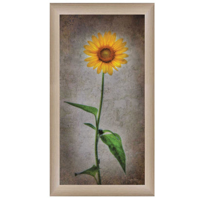 Sunflower I Brown Framed Print Wall Art HomeRoots