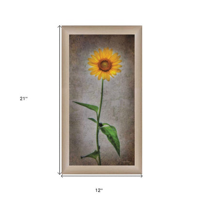 Sunflower I Brown Framed Print Wall Art HomeRoots