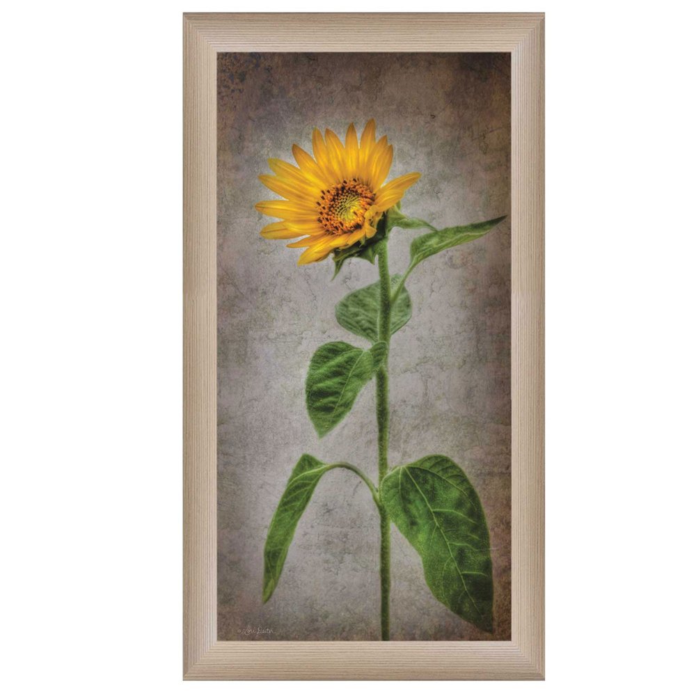 Sunflower II Brown Framed Print Wall Art HomeRoots