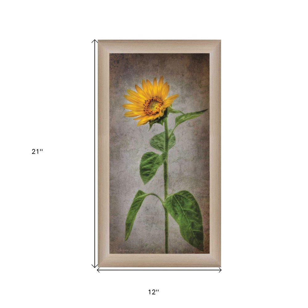 Sunflower II Brown Framed Print Wall Art HomeRoots