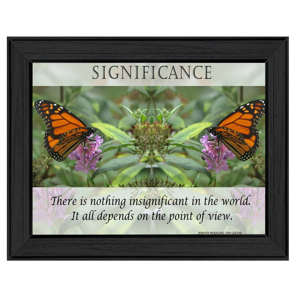Significance 3 Black Framed Print Wall Art HomeRoots