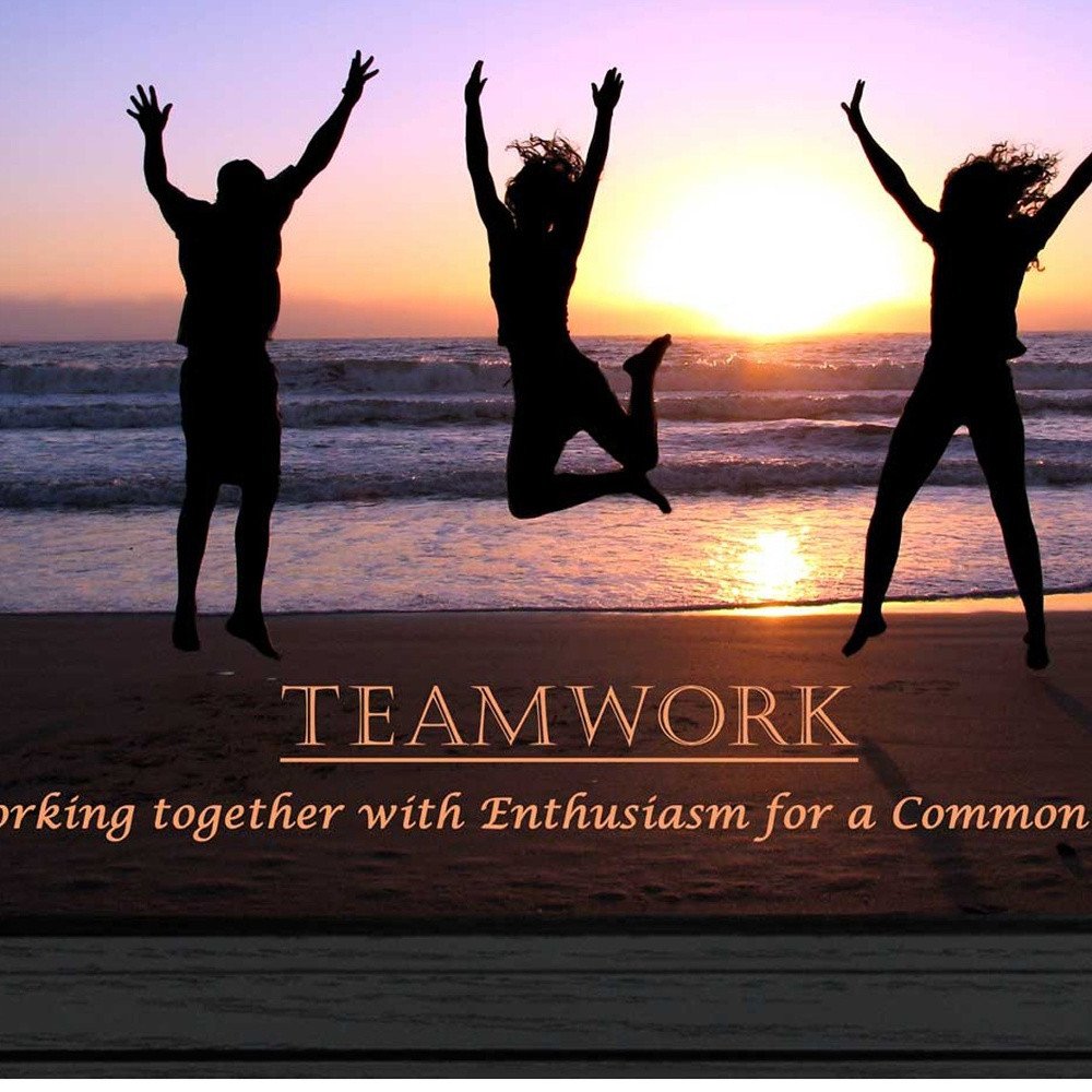 Teamwork 3 Black Framed Print Wall Art HomeRoots