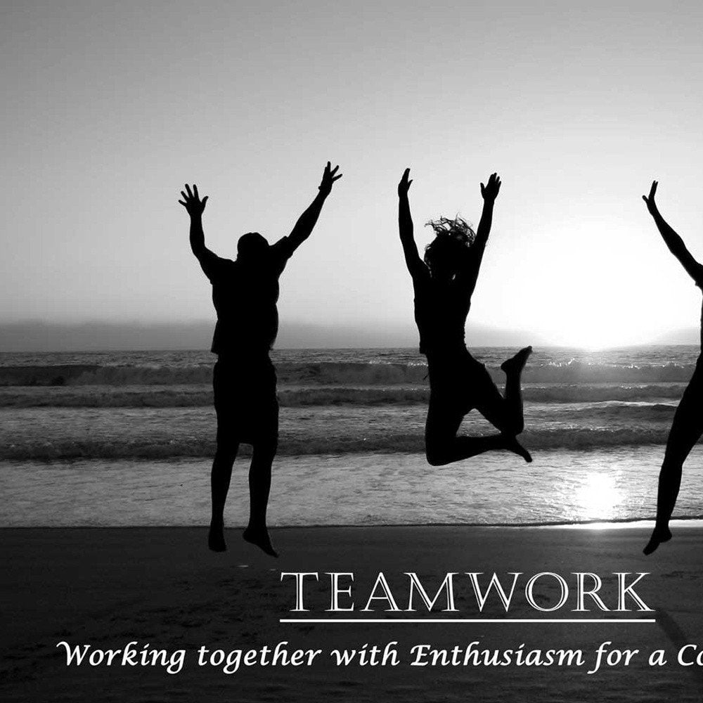 Teamwork 6 White Framed Print Wall Art HomeRoots
