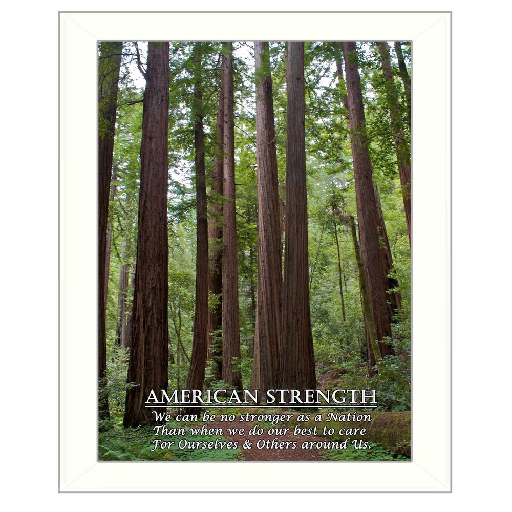 American Strength 4 White Framed Print Wall Art HomeRoots