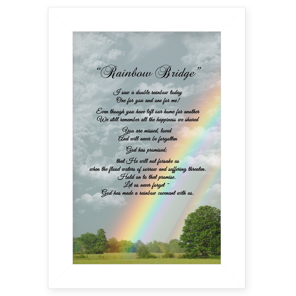 Rainbow Bridge 2 White Framed Print Wall Art HomeRoots