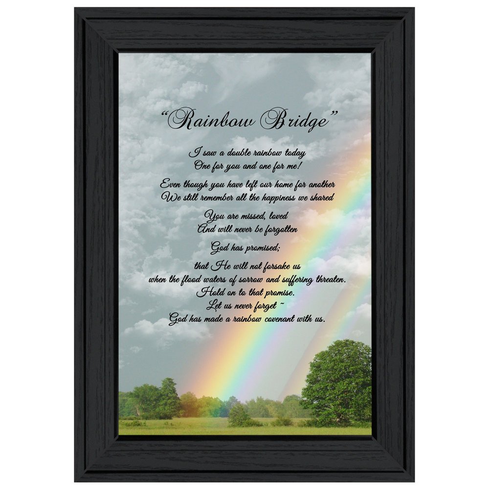 Rainbow Bridge 3 Black Framed Print Wall Art HomeRoots