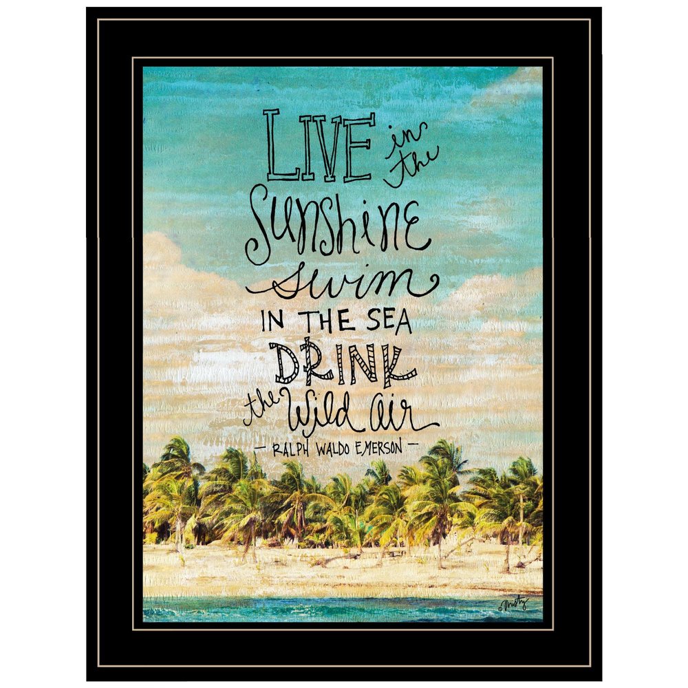 Live in the Sunshine 3 Black Framed Print Wall Art HomeRoots