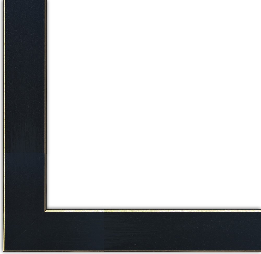 Lazy Bear 2 Black Framed Print Wall Art HomeRoots