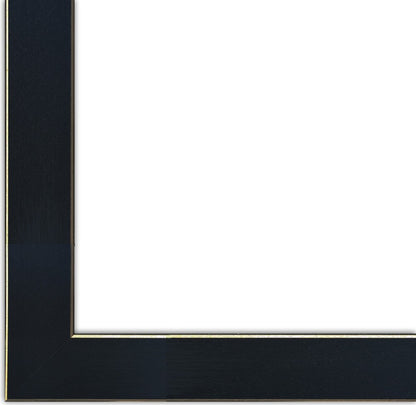 Lazy Bear 2 Black Framed Print Wall Art HomeRoots