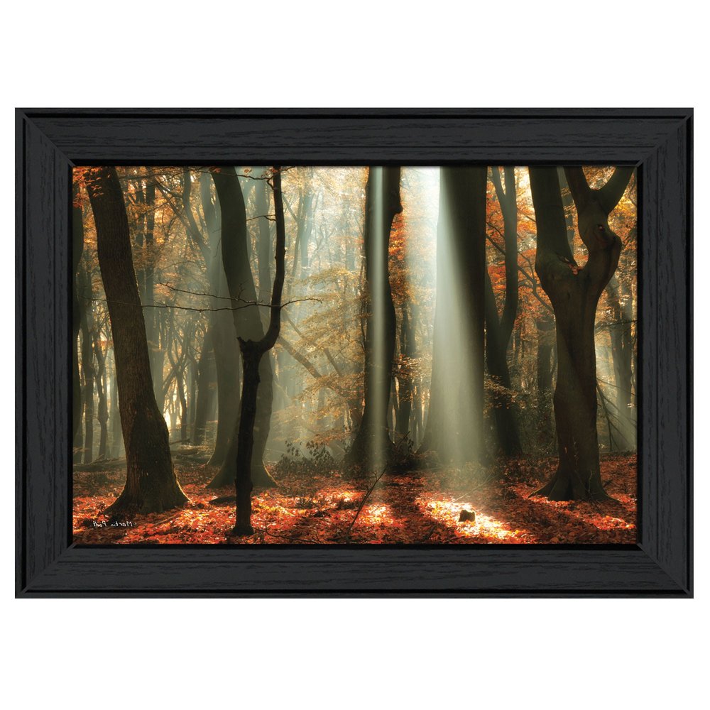 Beam Me Up Black Framed Print Wall Art HomeRoots