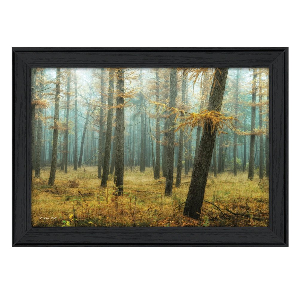 Holterberg in the Mist Black Framed Print Wall Art HomeRoots