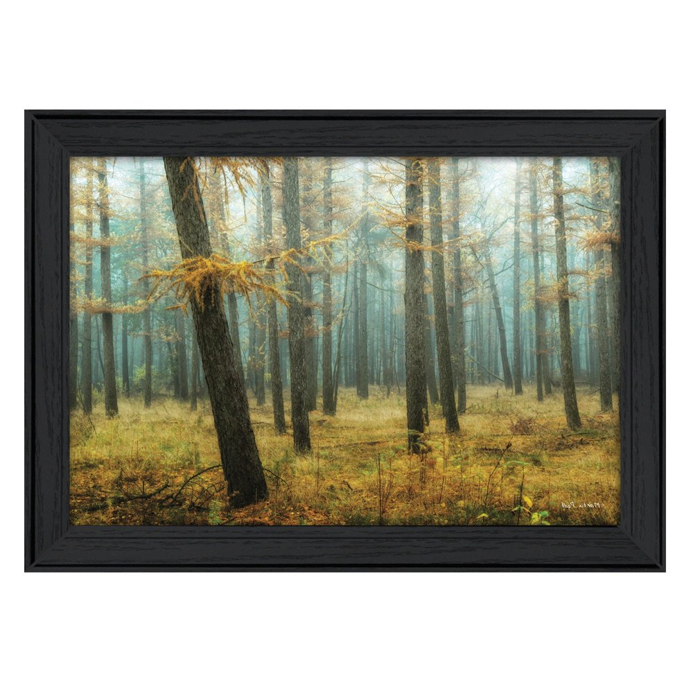 Holterberg in the Mist Black Framed Print Wall Art HomeRoots