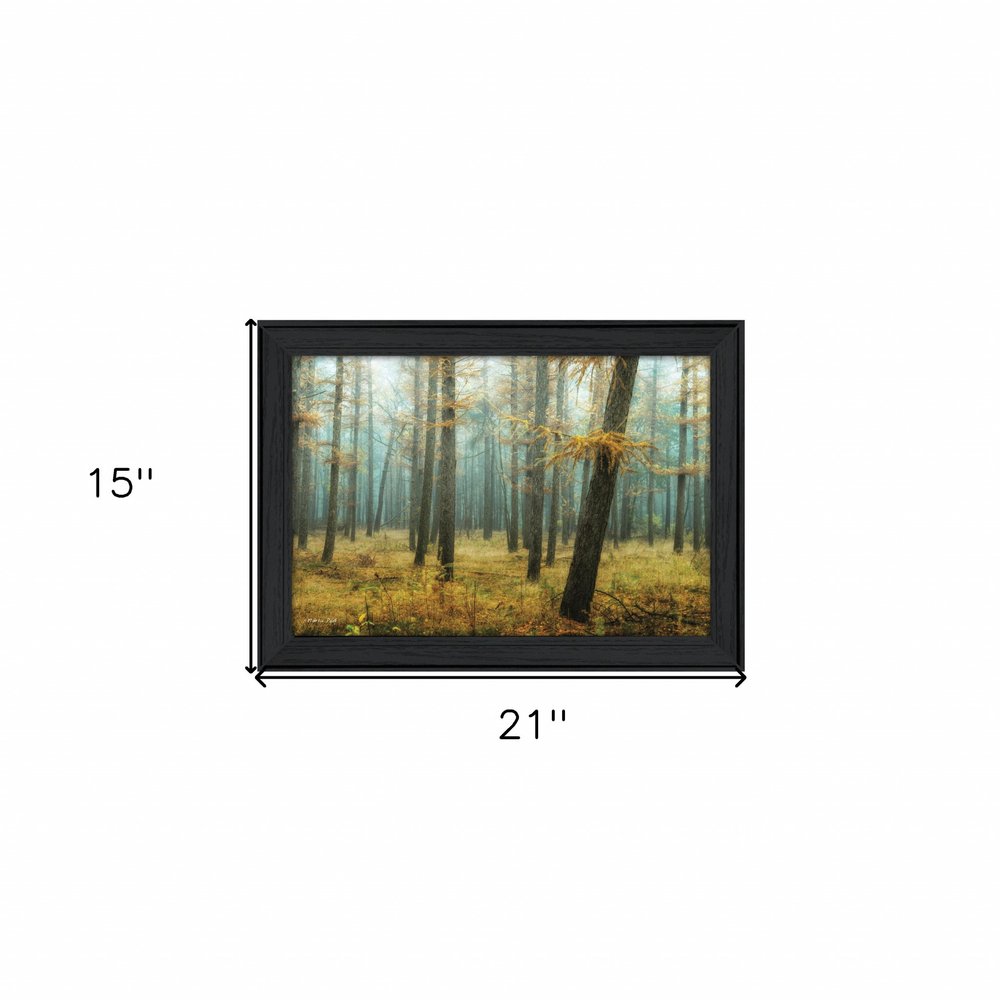 Holterberg in the Mist Black Framed Print Wall Art HomeRoots