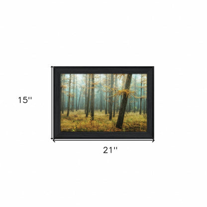Holterberg in the Mist Black Framed Print Wall Art HomeRoots