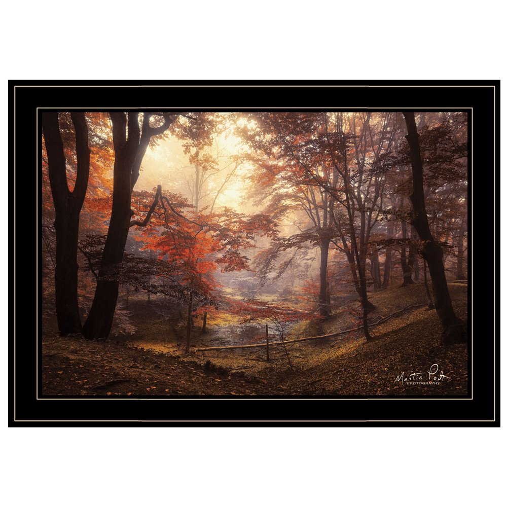 The Pool 2 Black Framed Print Wall Art HomeRoots
