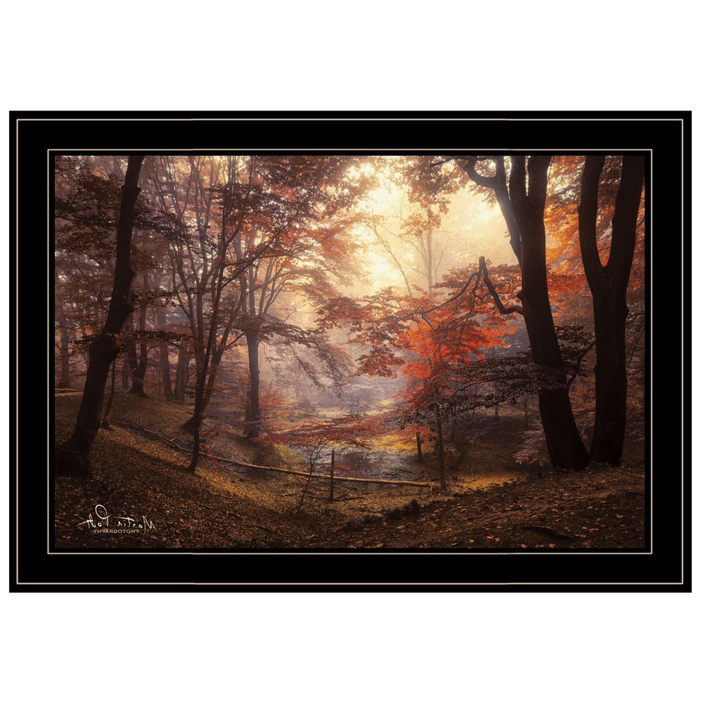 The Pool 2 Black Framed Print Wall Art HomeRoots